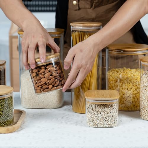22oz/0.7Qt/650ml Square Glass Storage Containers with Lids 6-Pack (6 Count)