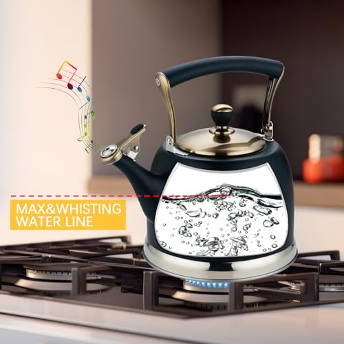 Tea Kettle Stainless Steel Teapot