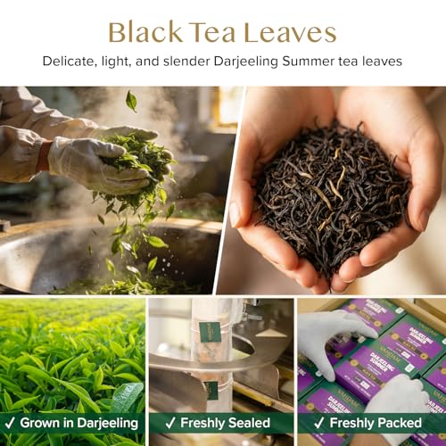 Darjeeling Tea Bags (100 Count)