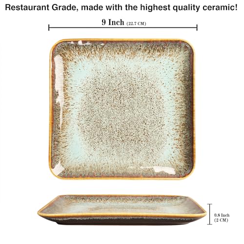 Ceramic Dinner Plates Dish Set (4 Count)