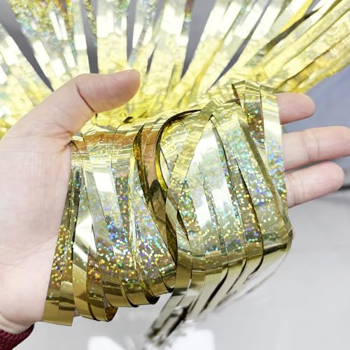 Tinsel Fringe Backdrop Gold Party Decorations 2 Pack (2 Count)