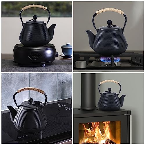 Cast Iron Teapot