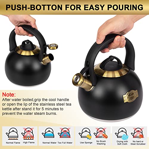 Tea Kettle for Stovetop