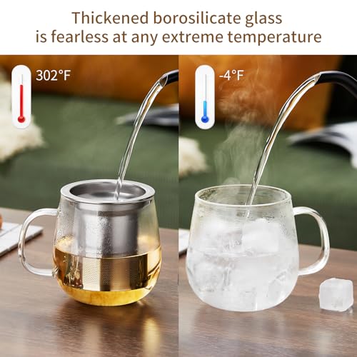 Glass Tea Cup with Infuser and Lid