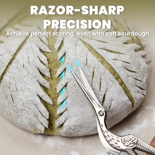 Bread Lame & Dough Scissors