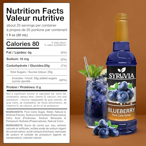 Blueberry Syrup (25.4 Fl Oz)