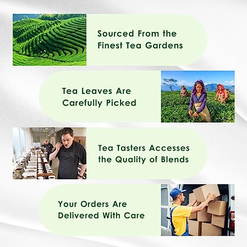 Tealeaf & Co. Tulsi Holy Basil Ashwagandha Green Tea Loose Leaf with Lemon Peel (3.5274 Ounce)