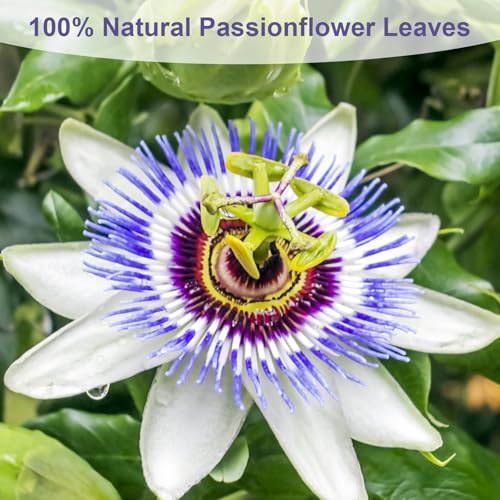 Passion Flower Tea (50 Count)