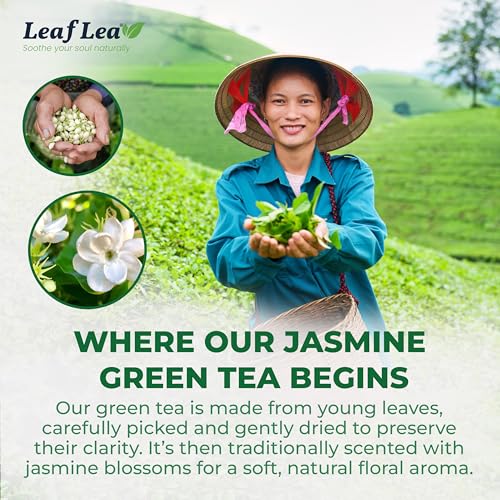 Jasmine Green Tea Bags (80 Count)