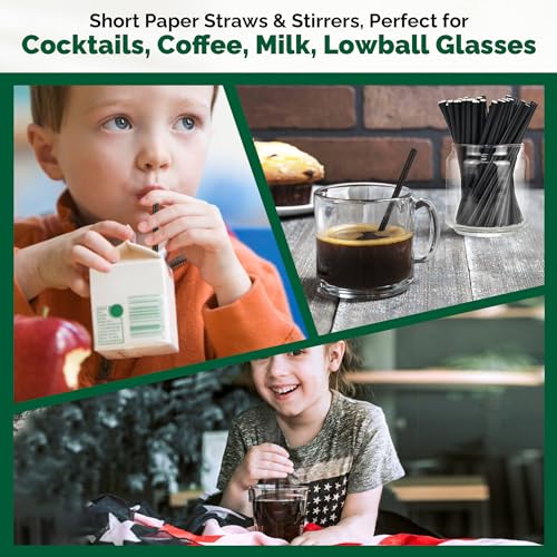 500 Bulk] 5.75 inch Black Short Paper Straws (500 Count)