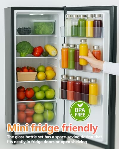 10.5 oz Glass Juice Bottles with Stainless Steel Lid Bulk (16 Count)