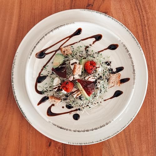 Ceramic Helix Swirl Dinner Plates Set of 6 (6 Count)