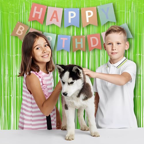Pastel Green Streamers Party Backdrop Decorations 2 Pack (2 Count)