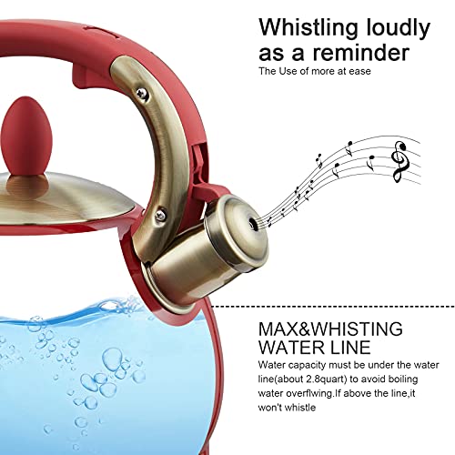 Tea Kettle 2.8 Quart Tea Kettles Stovetop Whistling Teapot Stainless Steel Tea Pots for Stove Top Whistle Tea Pot