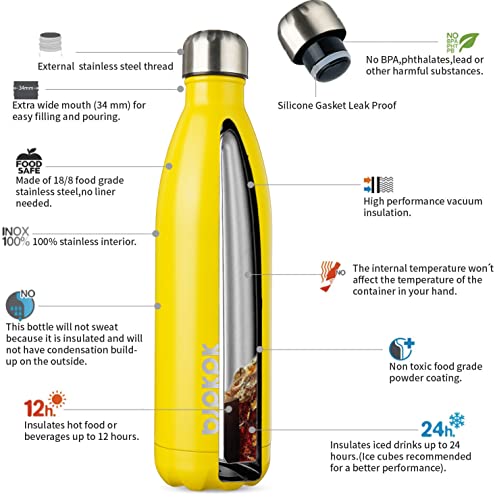 25 oz Insulated Water Bottle