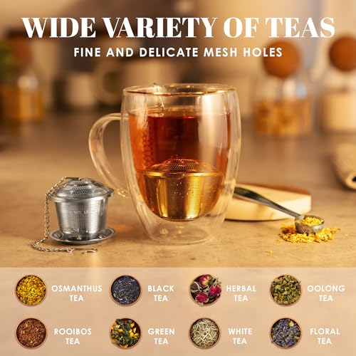 Tea Infuser Set of 2 with Tea Scoop & Drip Trays
