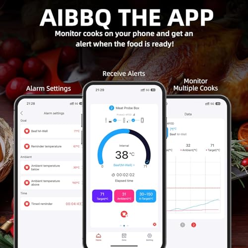 Wireless Smart Meat Thermometer with Bluetooth