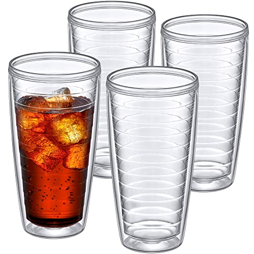 Alaska - 24-Ounce Insulated Plastic Tumblers (Set of 4), Double-Wall Plastic Drinking Glasses, All-Clear Reusable Cups, BPA-Free, Shatter-Proof, Dishwasher-Safe (4 Count)