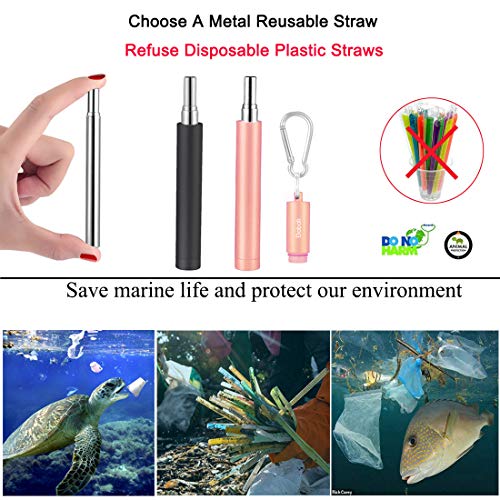 2 Pack Reusable Metal Straws Collapsible Stainless Steel Drinking Straw Travel Portable Telescopic Straw with Case for Cruise Ship Essentials Black
