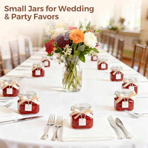 Square Glass Food Jars 17 oz 6 Pack for Pickling and Herbs Storage (6 Count)