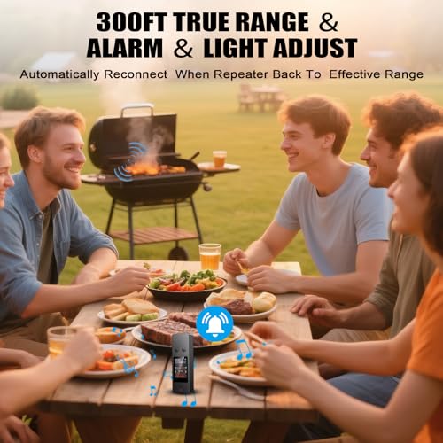 Bluetooth Wireless Meat Thermometer