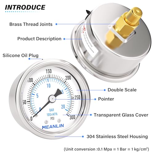 0~300Psi Dry Pressure Gauge Stainless Steel 1