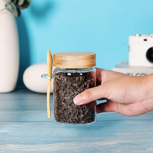 Glass Jar with Screw Lid and Spoon (6 Count)
