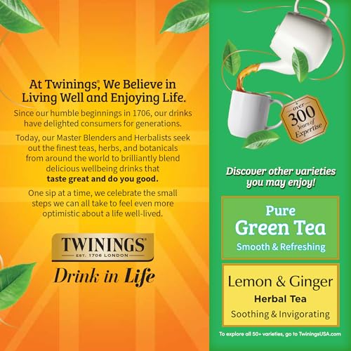 Green Tea with Jasmine (100 Count)