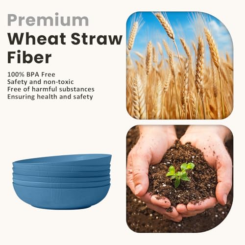 Salad Bowls 65 OZ Large Serving Bowls 10 inch Wheat Straw Big Bowl Set of 6 Plastic Bowls Wide and Shallow Bowl for Kitchen Microwave & Dishwasher Safe