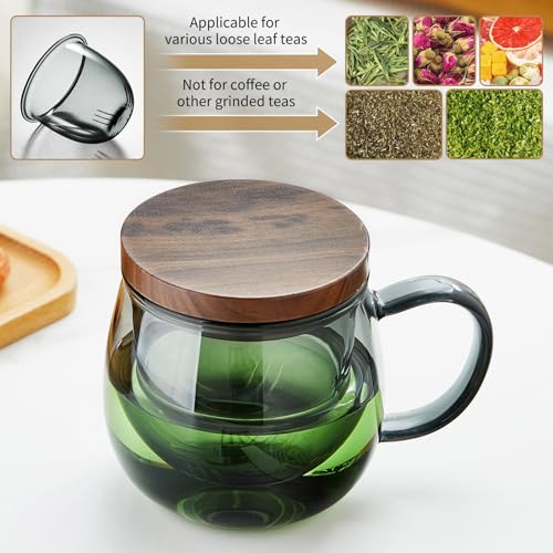 17 OZ Glass Tea Cup with Infuser and Lid (17 Fl Oz)