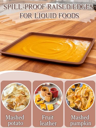 6Pcs Silicone Food Dehydrator Sheets with Edge