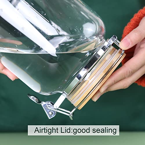 Clear Glass Cookies Jars with Airtight Lids (2 Count)