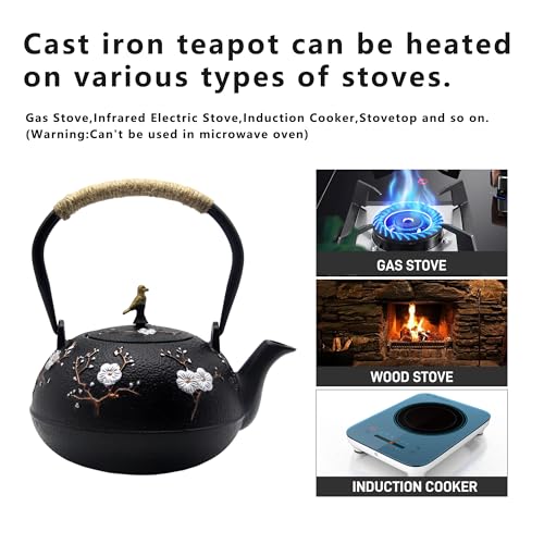 Magnetic Glass Teapot Set with 40.6oz Cast Iron Kettle for Stovetop