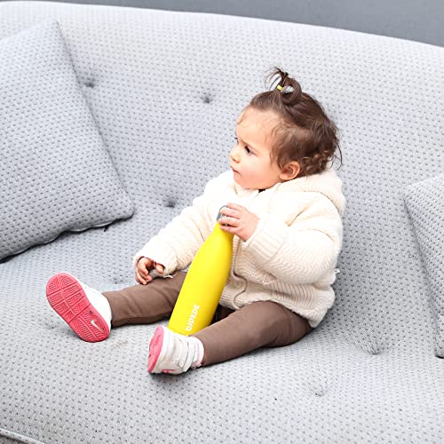 25 oz Insulated Water Bottle