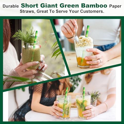 5.75" x 0.31" Green Bamboo Disposable Paper Drinking Straws for Short Drinks (250 Count)