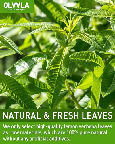 Lemon Verbena Tea Bags (30 Count)