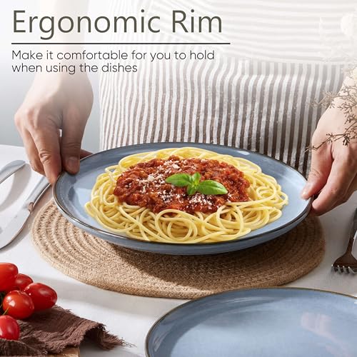 4 Piece Stoneware Dinner Plates Set