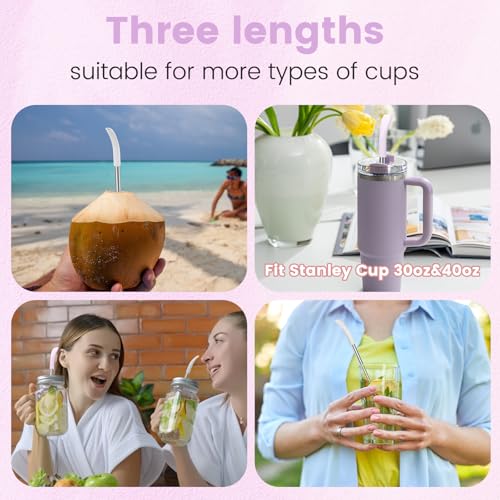 Anti Wrinkle Straw 6 Pcs for Stanley (6 Count)