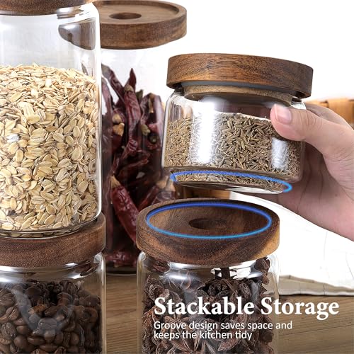 720ML 24Oz Clear Cute Glass Storage Canister Holder with Stackable Airtight Wood Lid