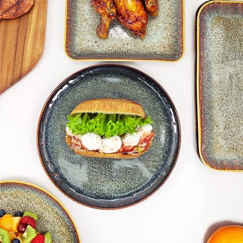 Ceramic Dinner Plates Dish Set (4 Count)