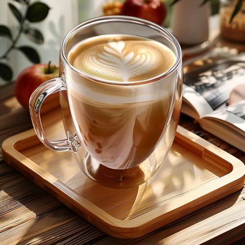 Set of 2 Double Walled Glass Coffee Mugs 16 Ounces Insulated Layer Coffee Cups with Handle Borosilicate Glass Espresso Cup for Hot Beverage (2 Count)