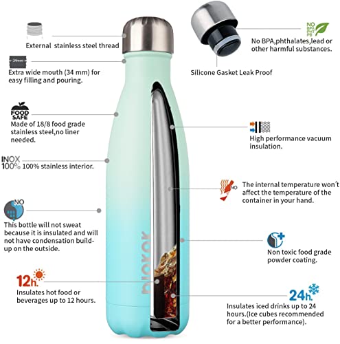 17 oz Insulated Water Bottle