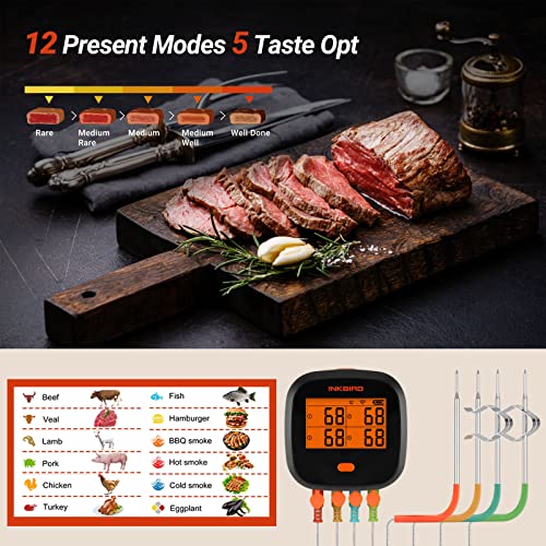 WiFi Meat Thermometer for Grilling