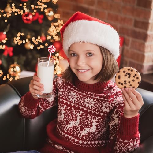 30 Pcs Christmas Drink Stirrers Lollipop Stir Sticks (30 Count)
