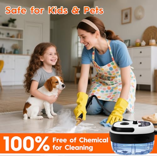 Steam Cleaner for Home