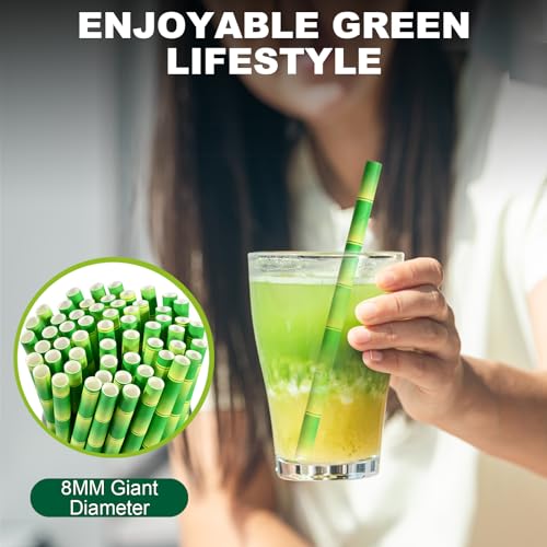 5.75" x 0.31" Green Bamboo Disposable Paper Drinking Straws for Short Drinks (250 Count)