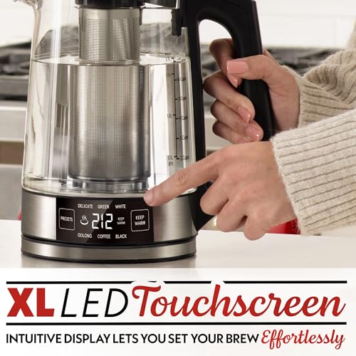 Programmable Digital Glass Kettle