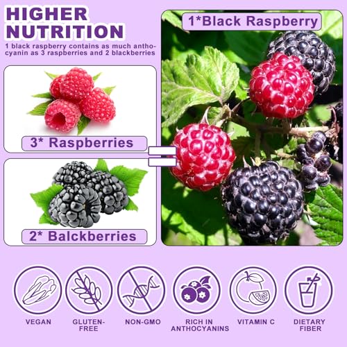 Freeze Dried Black Raspberry Powder (5.6438 Ounce)