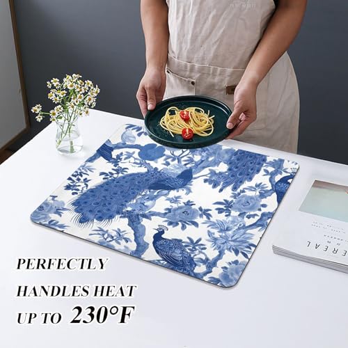 Dish Drying Mat for Kitchen Counter