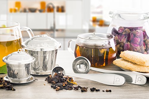 Tea Infuser Set of 2 with Tea Scoop & Drip Trays